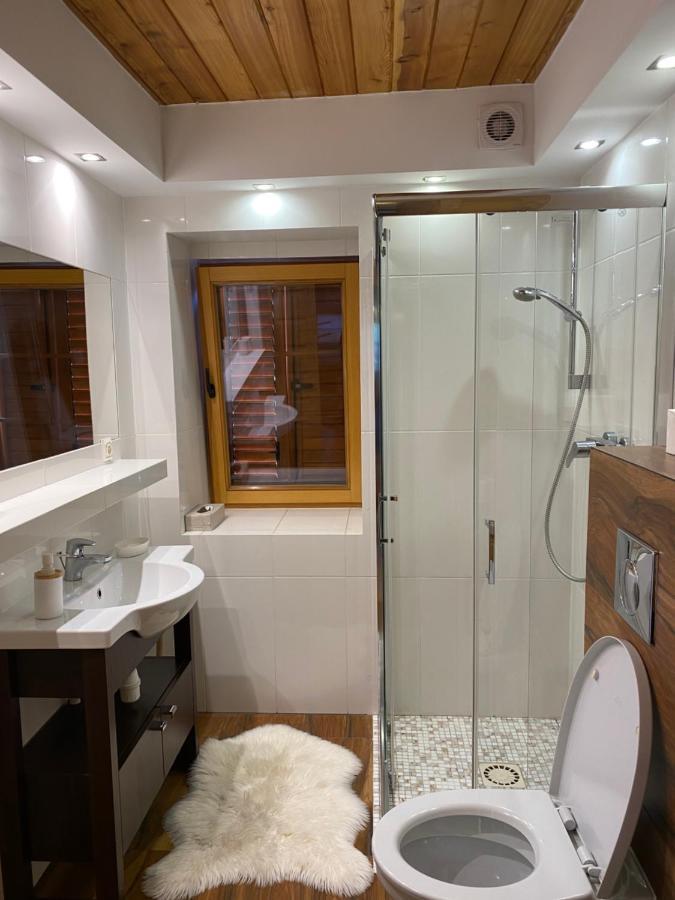 Apartment Chybotek Premium *